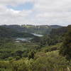 View of Honker Bay from the Live Oak Trail