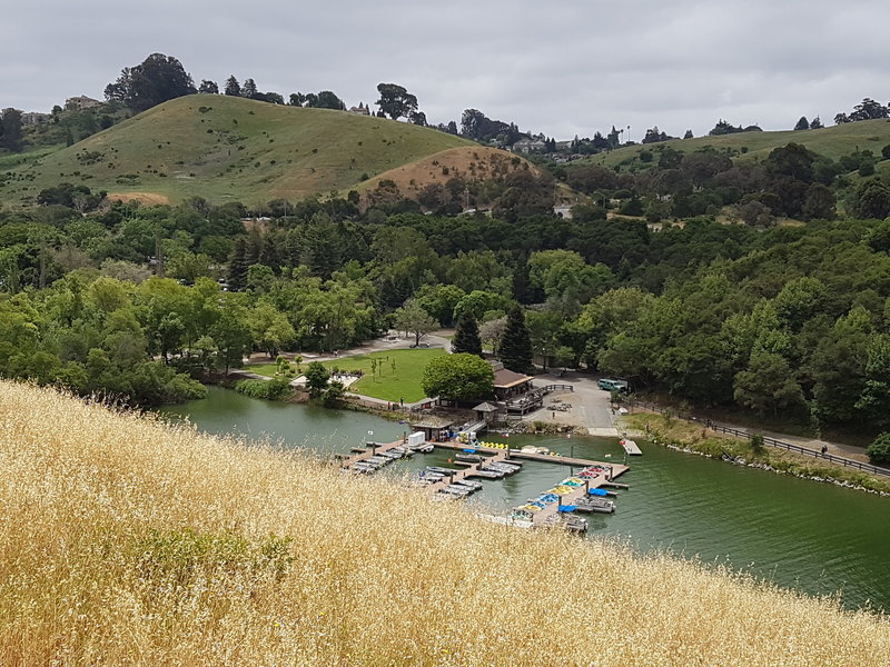 View of Lake Chabot Marina