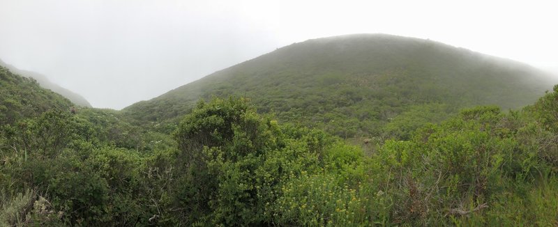 On an especially foggy day, you can see the fog rolling over the hills.