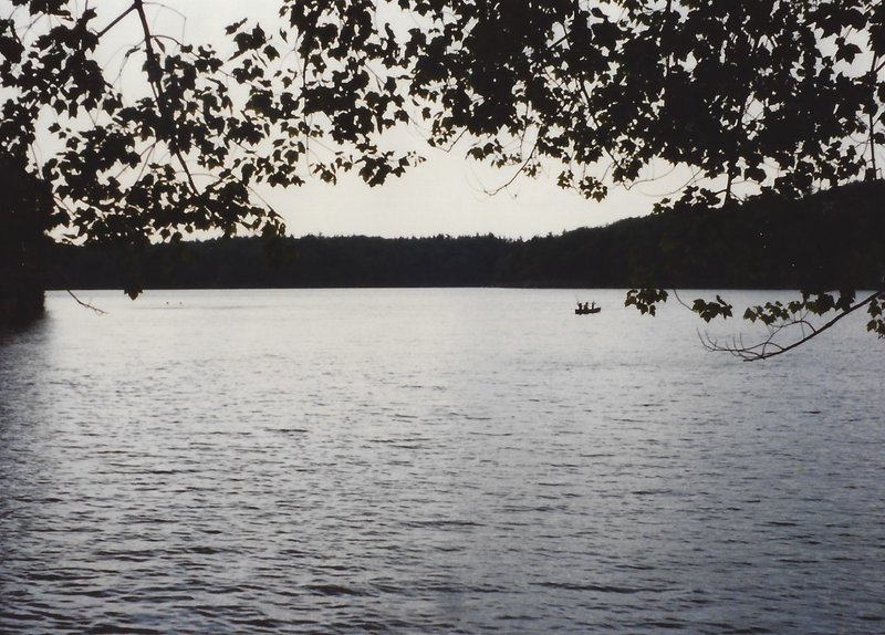 View of the pond