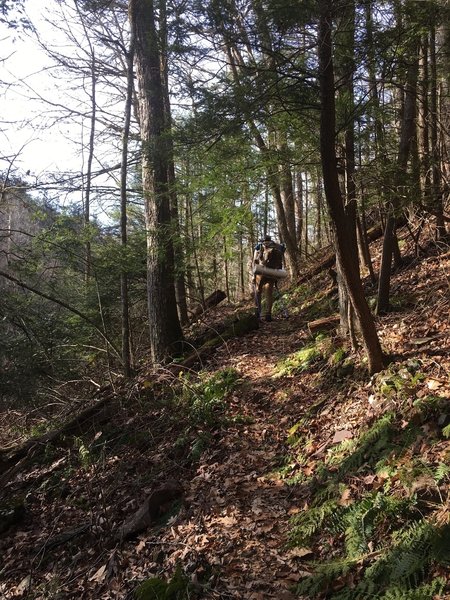 Most of the trail is along quite a steep slope.