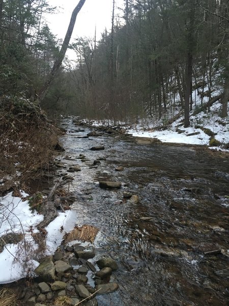 Water was flowing just fine in January! But it dries up in mid/late summer.