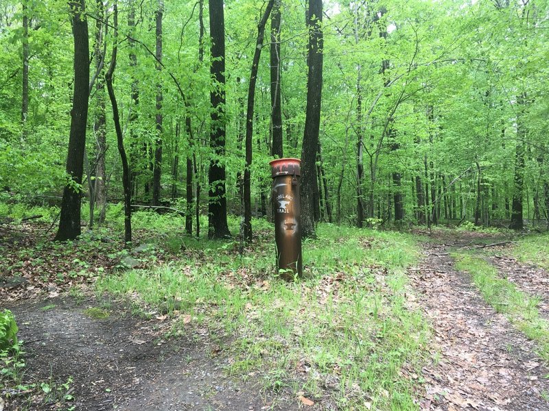 Trail marker towards the end