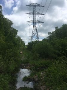 Near the start, right before the stream crossing