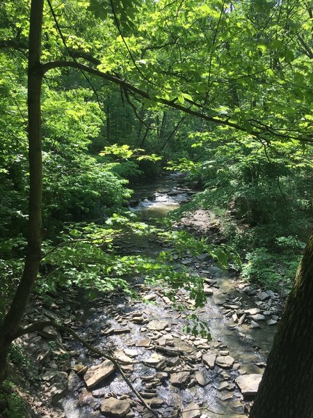 Second falls on the Gorge Trail