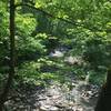 Second falls on the Gorge Trail