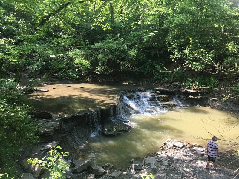 Buckeye Falls