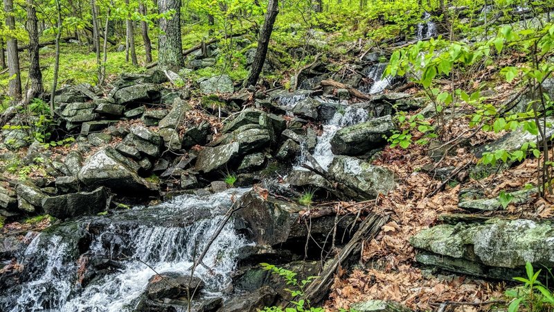 A seasonal cascade just off Sweet Clover Trail in Schunnemunk Mountain State Park