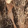 Closeup of pictographs on The Chimneys