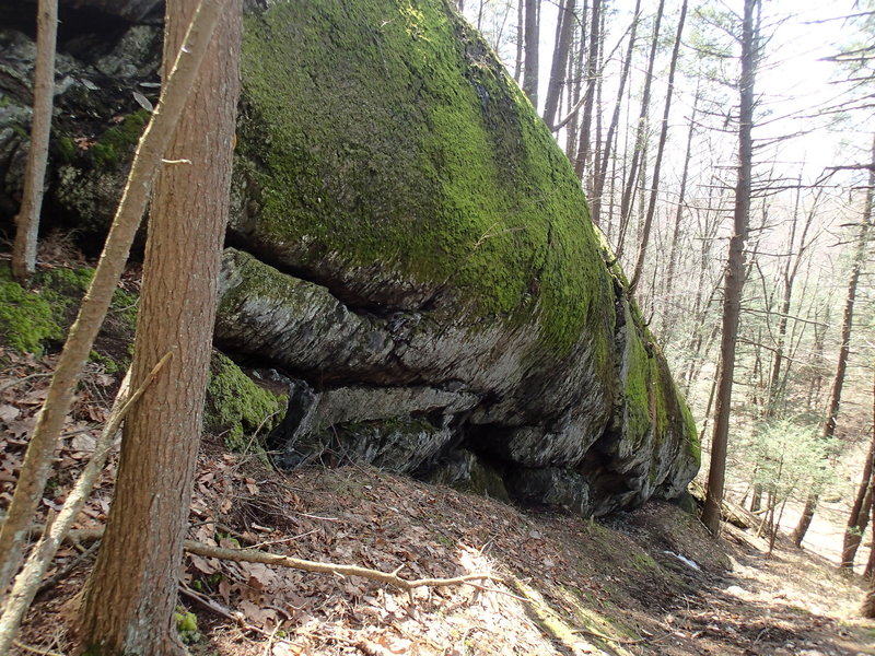 The steepest section of the Minisink Trail