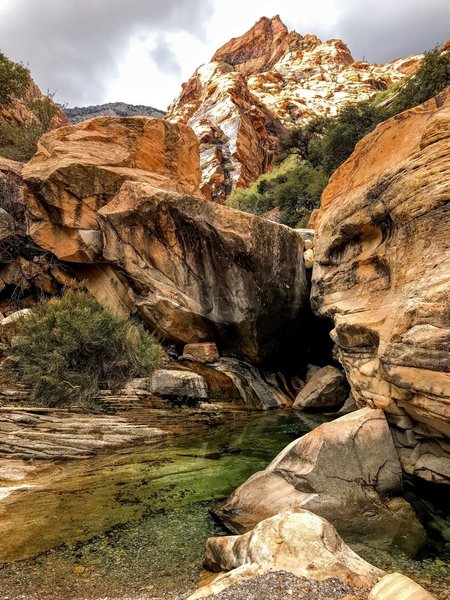 Cool pool on Oak Creek