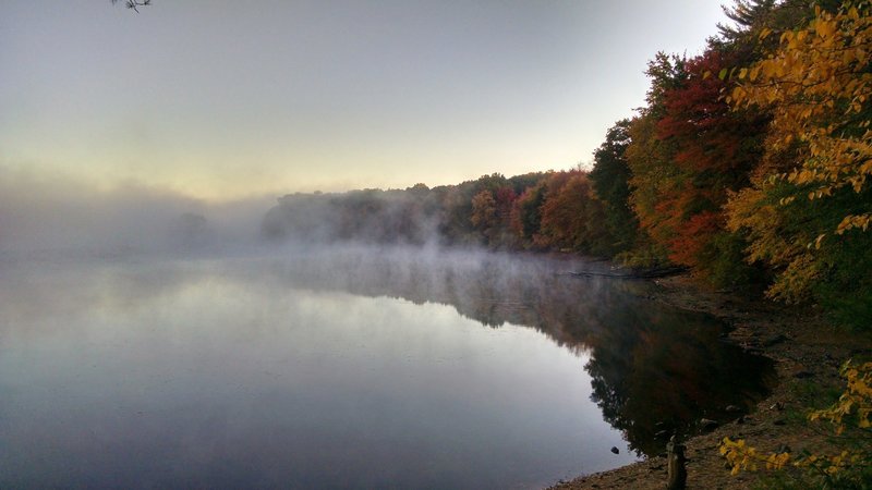 Fall fog - no druids required