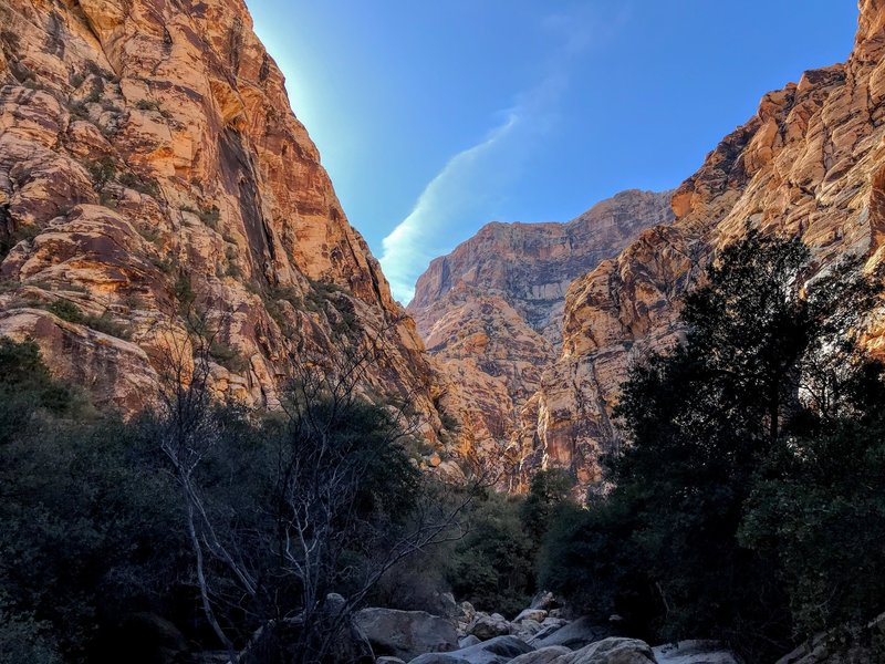 Huge walls create Ice Box Canyon