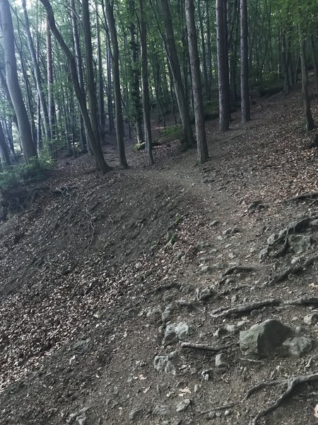 The beginning section of the trail to x. Momina Skala