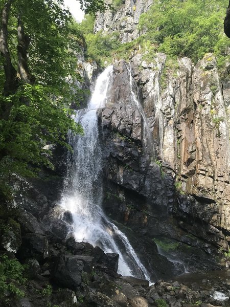 Boyana Waterfall