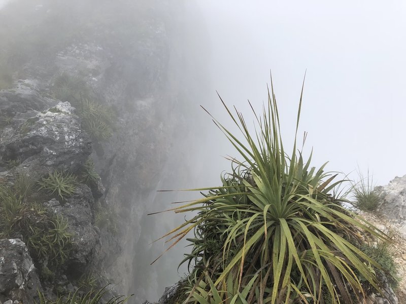 Pico Norte, Cloudy Day.