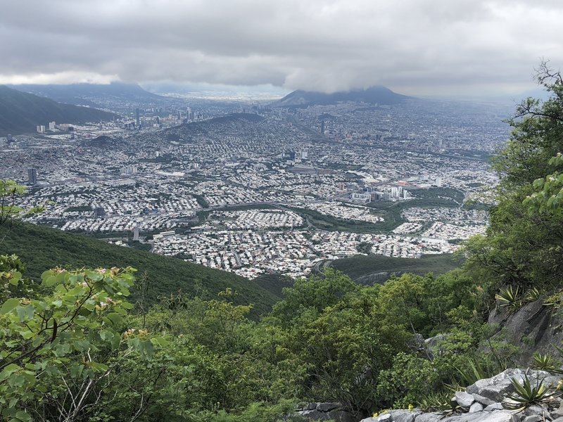 Paso de los Elefantes City View