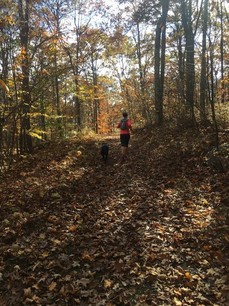 The two ladies leading the way