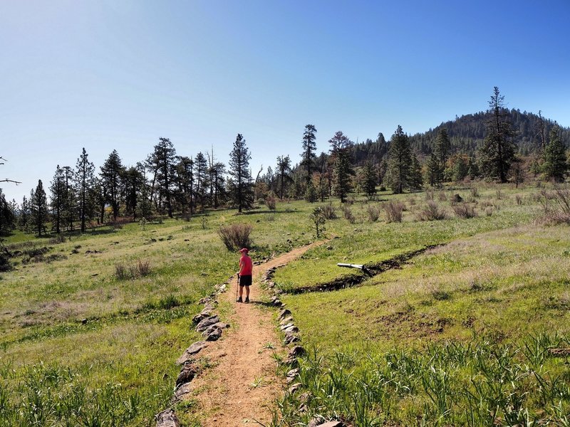 On the Lithic Trail just east of the Equestrain Ridge Trail; Roxy Ann Peak in the distance