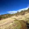 Climbing the Greenhorn Trail