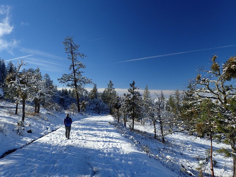 Along the Loop Road in winter