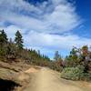 Along the Loop Road in summer.