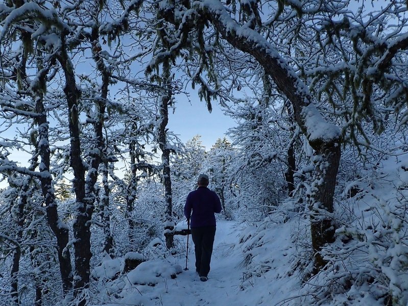 Climbing the Ponderosa Trail in winter.