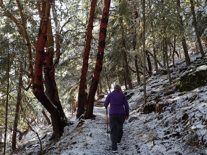 Climbing the east side of the Ponderosa Trail in winter.