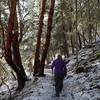 Climbing the east side of the Ponderosa Trail in winter.