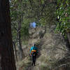 Nearing the upper end of the Manzanita Trail