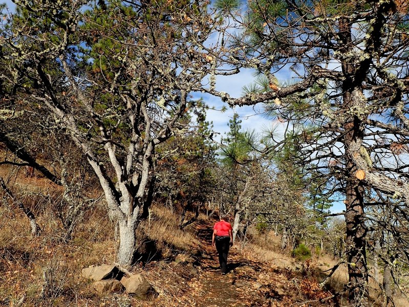 Starting up the Rock & Roll Trail