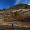 Along the Oak Trail below Roxy Ann Peak