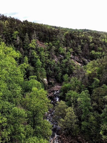 Looking into the gorge from the dam