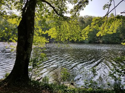 Glebe Trail overlooking the river