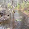 Duck pond trail (wading required)