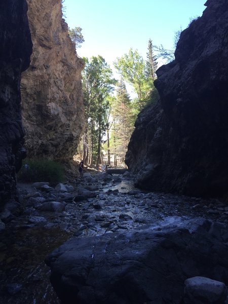 View of South Zapata Creek near base of the falls.