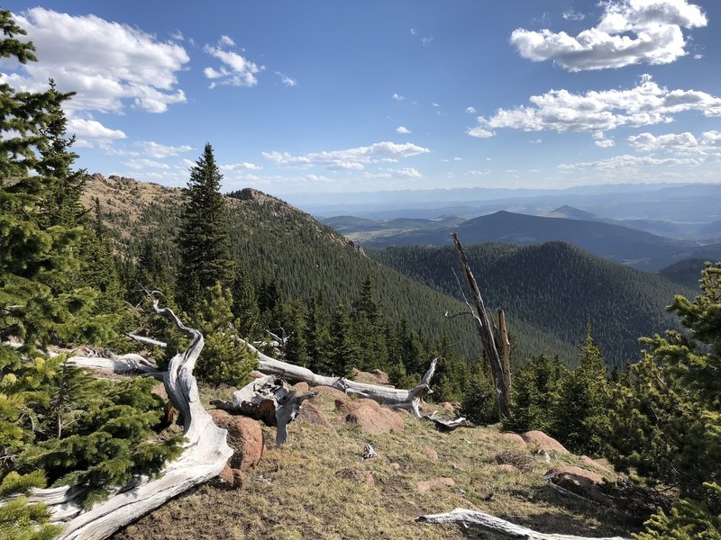 View on Sentinel Point loop descent looking south.