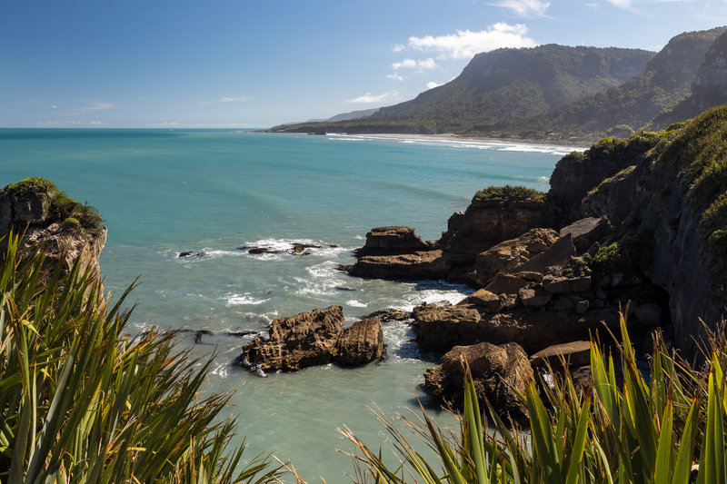 Coast of Paparoa National Park