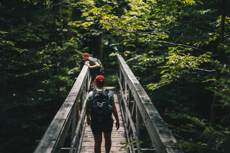 Crossing a bridge over Brewer's Brook on the Bucklin Trail.