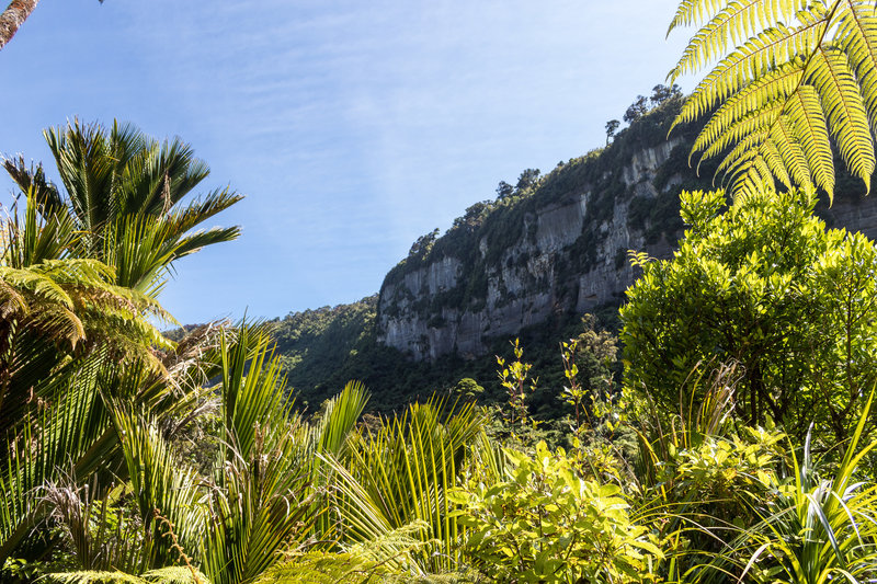 Pororari River Gorge