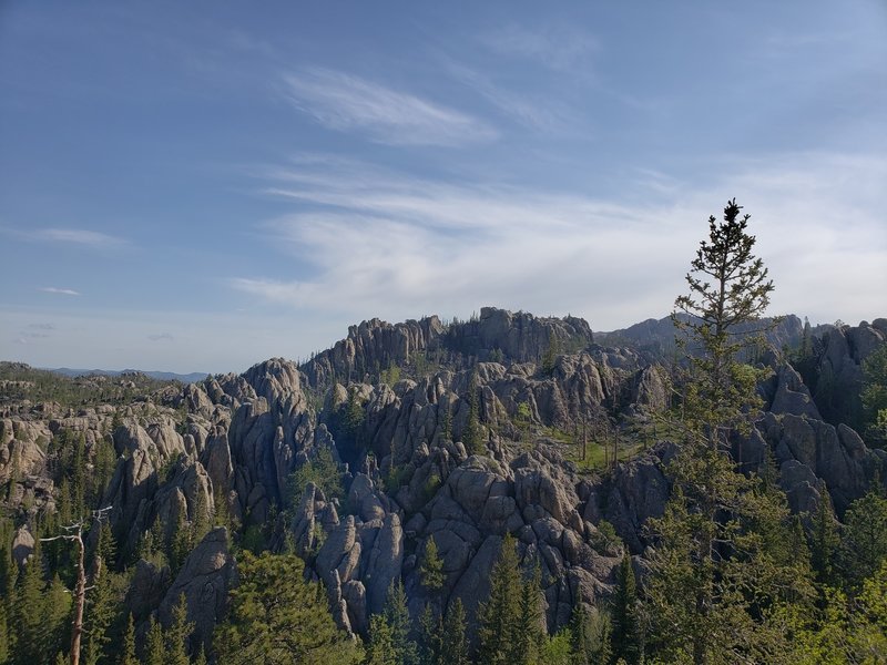 Black Elk Peak seen in the distance from a point on trail #9