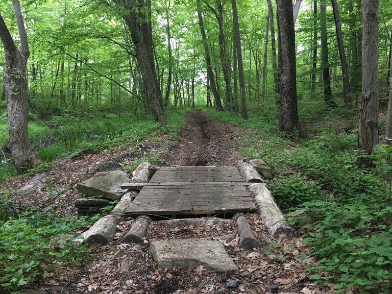 Bridge over stream crossing