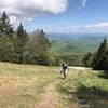 One of the few small spots along the Sherburne Pass Trail that comes out onto one of Pico's ski trails.