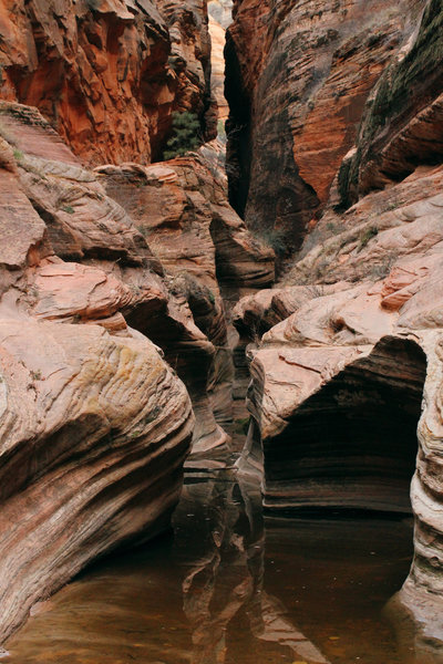 Echo Canyon on the way to Observation Point