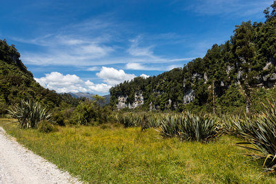 View up the Bullock Creek Gorge