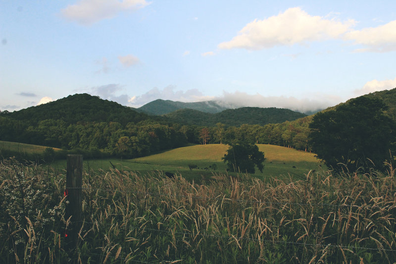 North Georgia rolling green hills