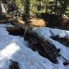 One of the lower bridges on the Cerise Creek Trail, looking a little bit in disrepair