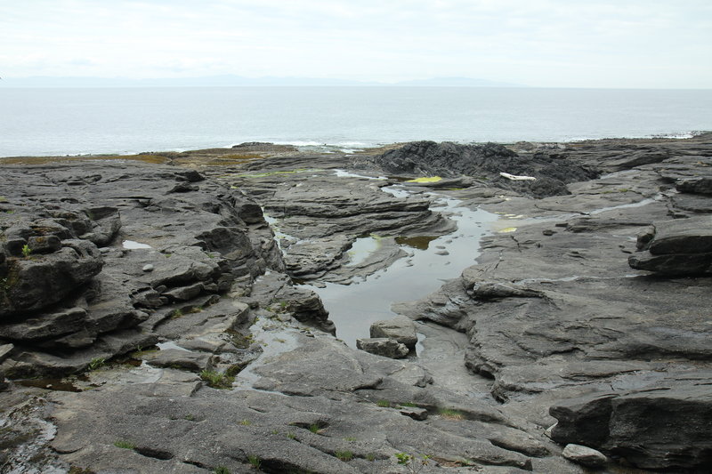 Tidal rock shelf along the JDF Marine Trail