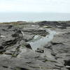 Tidal rock shelf along the JDF Marine Trail