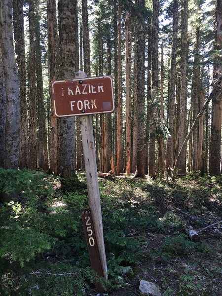 The Fraizer Turnaround and Serene Lake Trail are to the left of the sign, Shining Lake Trail starts to the right.